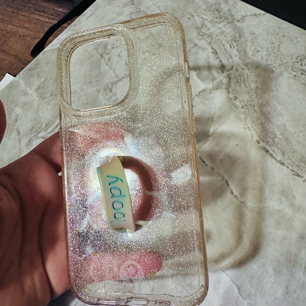 Loopy case